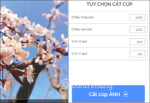 Cắt hình ảnh