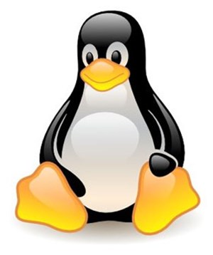 10 câu lệnh Linux hữu dụng nhất