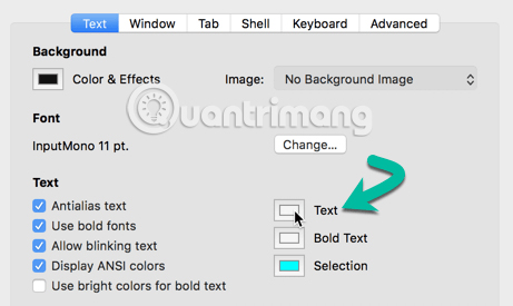 Chọn màu trong Text