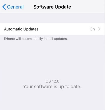 Allow iOS to automatically update every time a new version is available