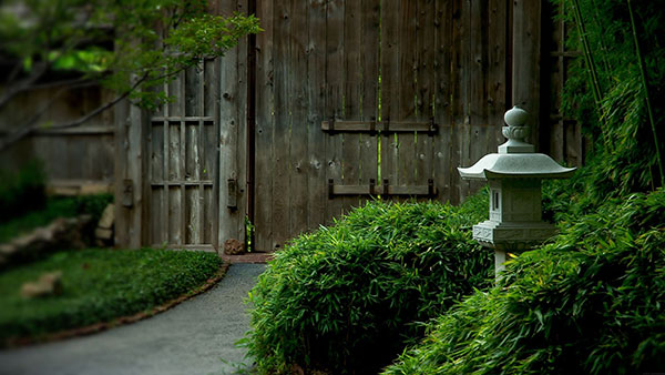 Tải ngay 200 ảnh nền với nhiều chủ đề khác nhau cho máy tính 36