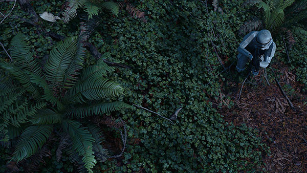 Tải ngay 200 ảnh nền với nhiều chủ đề khác nhau cho máy tính 4