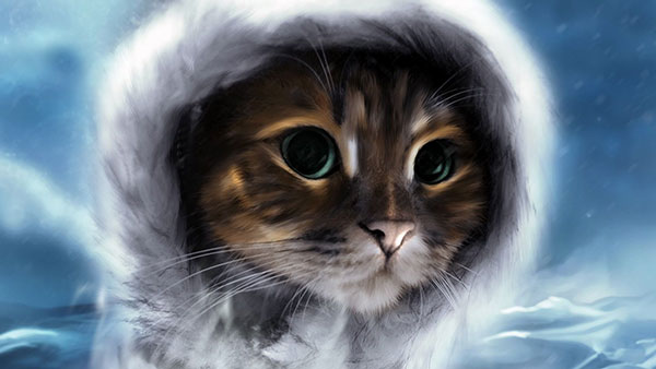 Hình nền Cửa Hàng Thú Cưng Thú Cưng Dễ Thương Mèo Mèo Nền Mèo Con Móng  Mèo Background Vector để tải xuống miễn phí  Pngtree