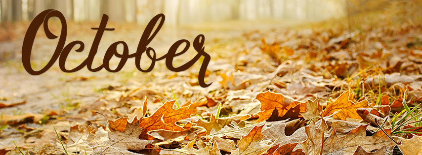 Tháng 10 đang đến, mùa thu rực rỡ lại về đầy hứa hẹn. Hãy cùng tạo điểm nhấn cho trang Facebook của bạn với một bức ảnh bìa đẹp mắt, lấy cảm hứng từ những tia nắng vàng rực rỡ của mùa thu nhé!