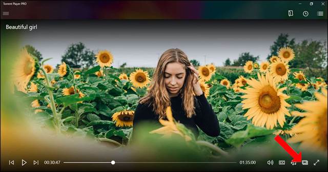 Thu nhỏ cửa sổ