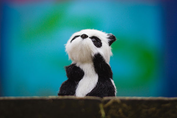 Ảnh nền gấu trúc dễ thương nhất cho máy tính 31