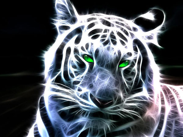 Mời tải về Hình nền con hổ cực đẹp cho máy tính Trường Trung Cấp Nghề Thương Mại Du Lịch Thanh Hoá