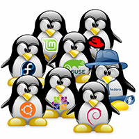 12 hệ điều hành máy chủ Linux tốt nhất