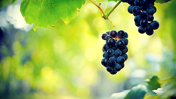 Bộ ảnh nền chất lượng cao chủ đề tổng hợp cho máy tính 14