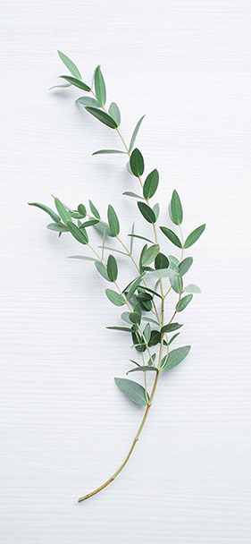 Bộ 50+ ảnh nền chất lượng cao, nhiều chủ đề cho smartphone 4