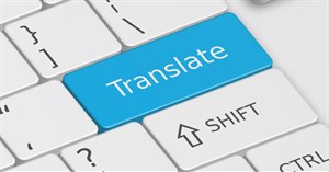 Cách dịch ví dụ của từ gốc trên Google Translate