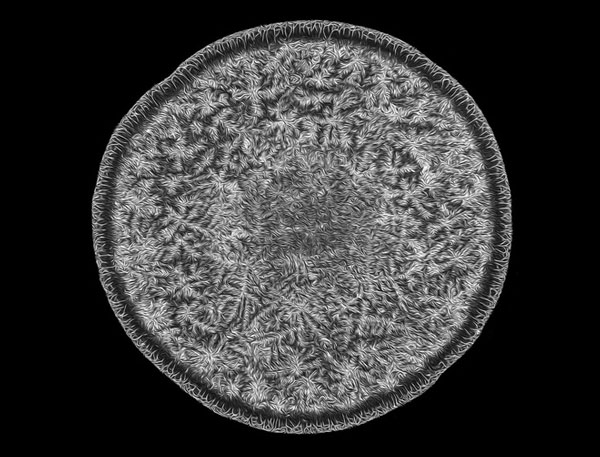 Giọt nước mắt con người của tác giả Norm Barker