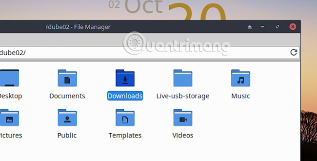 Thiết kế của MX Linux