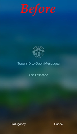 The interface now scans the fingerprint