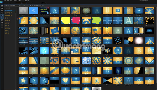 Lựa chọn thay thế