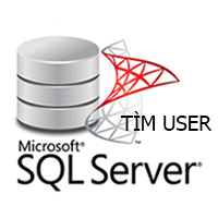 Tìm User trong SQL Server
