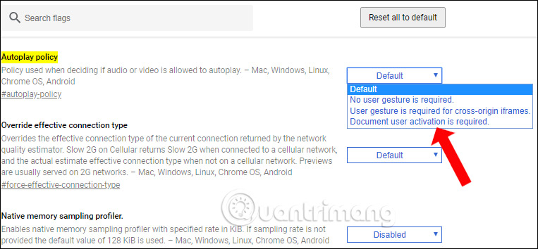 Tắt tự phát video Chrome