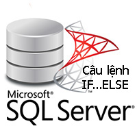 Lệnh IF...ELSE trong SQL Server