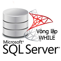 Vòng lặp WHILE trong SQL Server