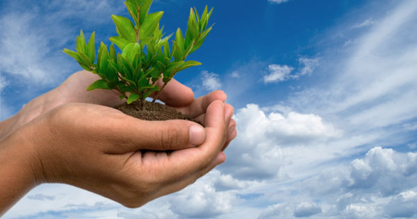 Những lời khuyên chân thành giúp thay đổi cuộc đời bạn