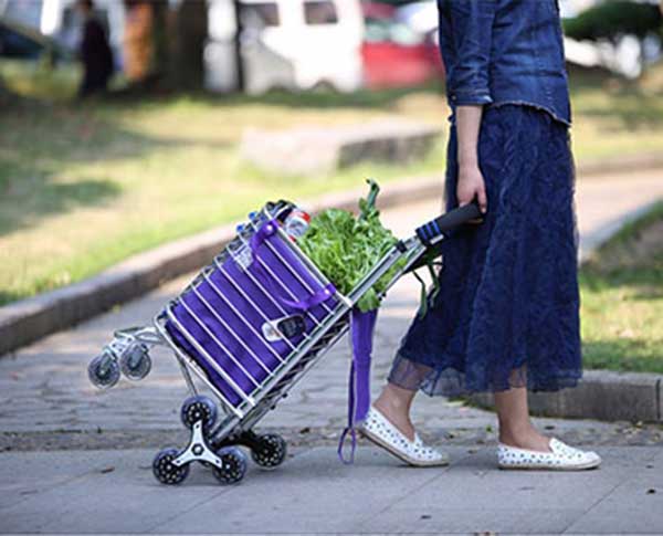 Xe kéo đi chợ thông minh