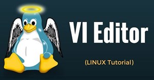 Tìm hiểu về ứng dụng Vi trong Linux