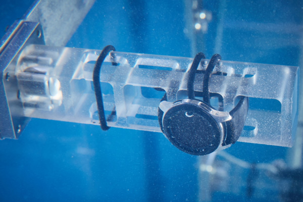 Smartwatch và dây đeo sẽ phải trải qua bài kiểm tra với tiêu chuẩn cao hơn 