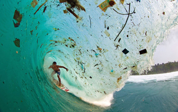 Rác thải nhựa và tác động của nó tới môi trường và động vật hoang dã 44