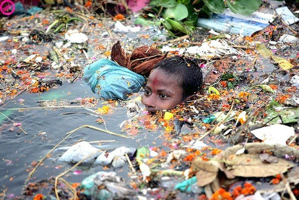 Rác thải nhựa và tác động của nó tới môi trường và động vật hoang dã 52