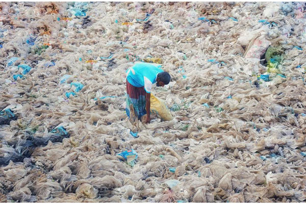 Rác thải nhựa và tác động của nó tới môi trường và động vật hoang dã 54