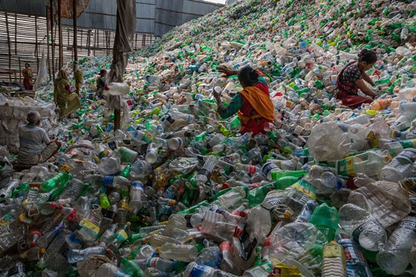 Rác thải nhựa và tác động của nó tới môi trường và động vật hoang dã 60