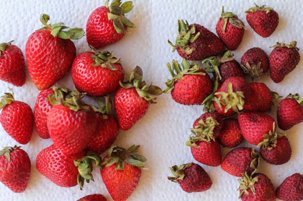 Găng tay không dây thực tế ảo Forte