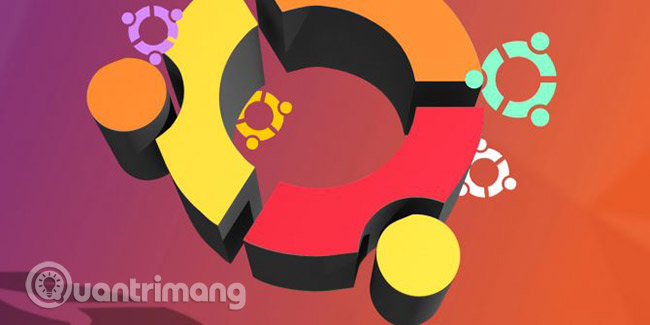 Bạn có thể làm gì?