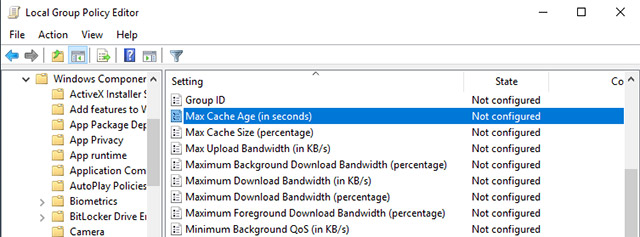 Tìm và mở chính sách Max Cache Age (in seconds).