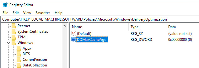 Đặt tên cho giá trị mới là DOMaxCacheAge và nhấn Enter.