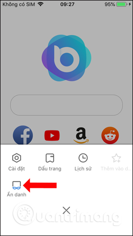 Tùy chọn trình duyệt