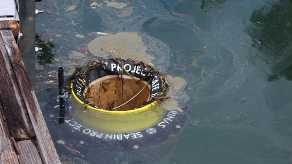 Máy hút rác Seabin V5 Hybrid