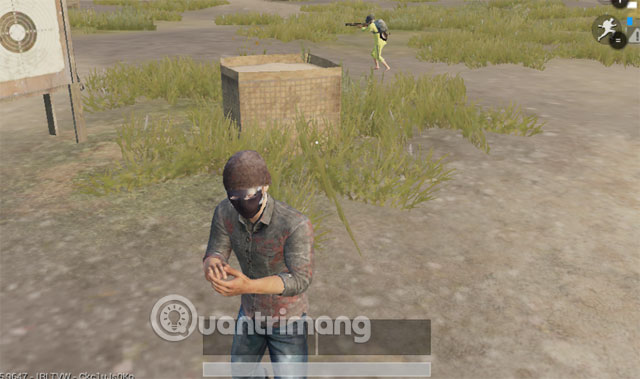 Biểu cảm của nhân vật PUBG Mobile