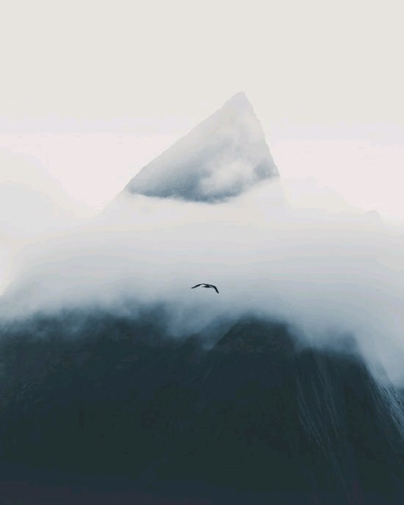 Ảnh nền chất lượng cao 6