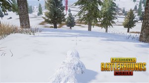 PUBG Mobile VNG: Những mẹo chơi phù hợp với địa hình Vikendi