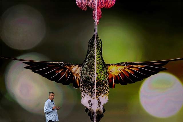 Chất lượng hiển thị