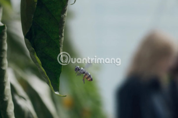 Máy bay không người lái