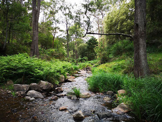 Bức ảnh này được Bruce chụp khi băng qua một con suối