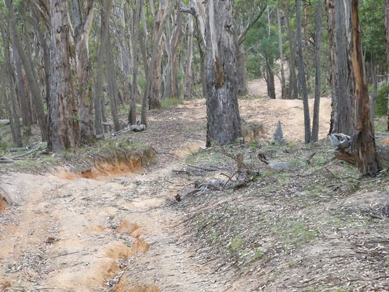 Bruce xuống chân một ngọn núi