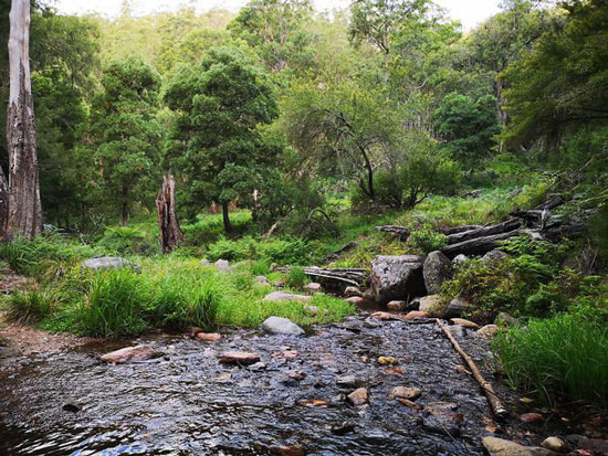 Sau đoạn đường khó khăn, Bruce đi tới một khu vực có khung cảnh rất đẹp