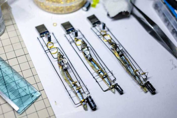 Phiên bản USB cực độc đáo này dùng não cá để lưu trữ dữ liệu thay cho chip