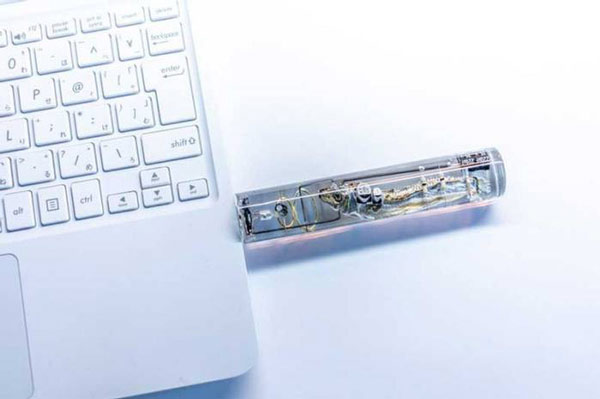 USB cá cơm khi kết nối vào máy tính 