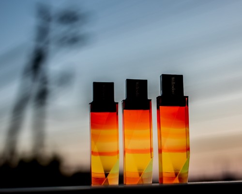 Vỏ USB trong suốt 1