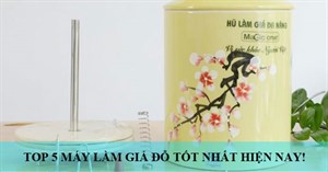 Giới thiệu top 5 máy làm giá đỗ tốt nhất hiện nay