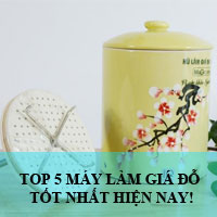 Giới thiệu top 5 máy làm giá đỗ tốt nhất hiện nay Giới thiệu top 5 máy làm giá đỗ tốt nhất hiện nay